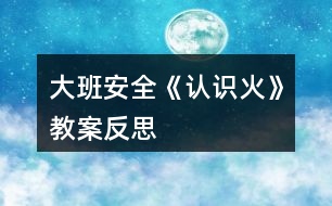 大班安全《認識火》教案反思