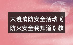 大班消防安全活動《防火安全我知道》教學(xué)設(shè)計反思