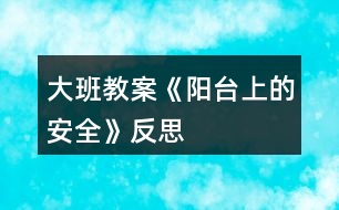 大班教案《陽臺上的安全》反思