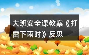 大班安全課教案《打雷下雨時》反思