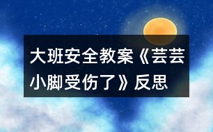 大班安全教案《蕓蕓小腳受傷了》反思