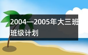 2004―2005年大（三）班班級計劃