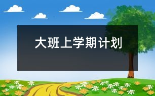 大班上學(xué)期計(jì)劃