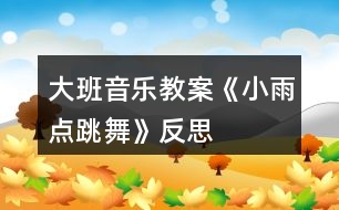 大班音樂教案《小雨點(diǎn)跳舞》反思