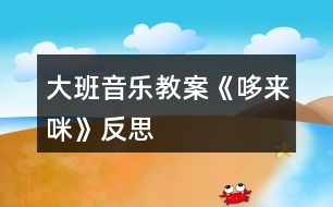 大班音樂教案《哆來咪》反思