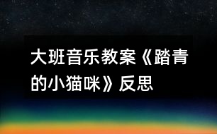 大班音樂教案《踏青的小貓咪》反思