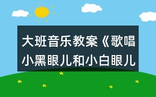 大班音樂教案《歌唱小黑眼兒和小白眼兒》反思