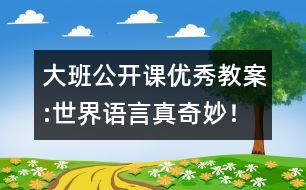 大班公開課優(yōu)秀教案:世界語言真奇妙！