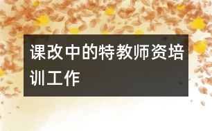 課改中的特教師資培訓工作