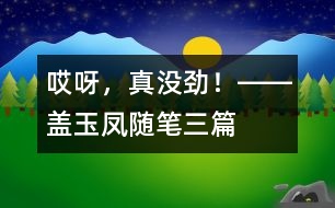 “哎呀，真沒(méi)勁！”――蓋玉鳳隨筆三篇