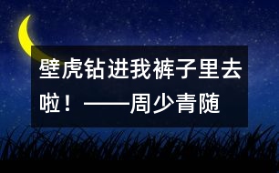 “壁虎”鉆進(jìn)我褲子里去啦！――周少青隨筆兩篇