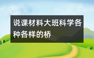 說(shuō)課材料大班科學(xué)：各種各樣的橋