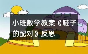 小班數(shù)學(xué)教案《鞋子的配對(duì)》反思