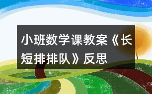 小班數(shù)學課教案《長短排排隊》反思