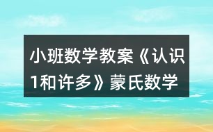 小班數(shù)學(xué)教案《認識1和許多》蒙氏數(shù)學(xué)