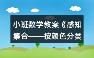 小班數學教案《感知集合――按顏色分類》反思