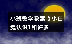 小班數(shù)學(xué)教案《小白兔認(rèn)識“1”和許多》反思