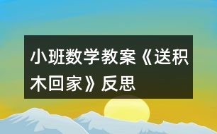 小班數(shù)學教案《送積木回家》反思