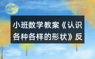 小班數(shù)學(xué)教案《認識各種各樣的形狀》反思