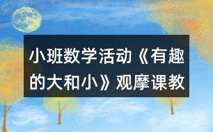 小班數(shù)學(xué)活動《有趣的大和小》觀摩課教案與教學(xué)反思