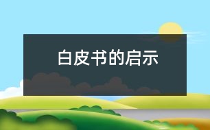 白皮書(shū)的啟示