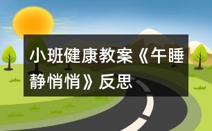 小班健康教案《午睡靜悄悄》反思