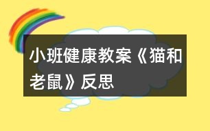 小班健康教案《貓和老鼠》反思