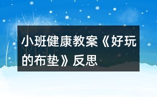 小班健康教案《好玩的布墊》反思