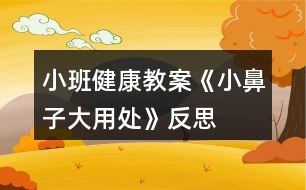 小班健康教案《小鼻子大用處》反思