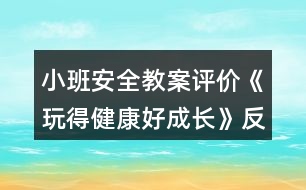 小班安全教案評(píng)價(jià)《玩得健康好成長(zhǎng)》反思