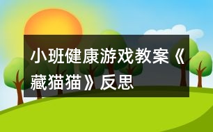 小班健康游戲教案《藏貓貓》反思