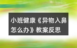 小班健康《異物入鼻怎么辦》教案反思