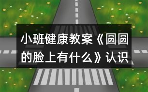 小班健康教案《圓圓的臉上有什么》認識五官反思