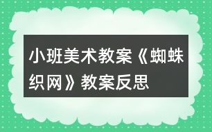 小班美術(shù)教案《蜘蛛織網(wǎng)》教案反思