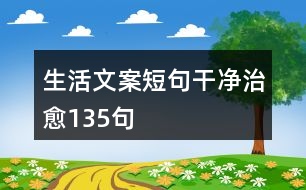 生活文案短句干凈治愈135句