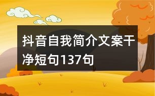 抖音自我簡(jiǎn)介文案干凈短句137句