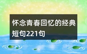 懷念青春回憶的經(jīng)典短句221句