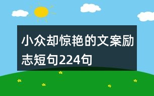 小眾卻驚艷的文案勵(lì)志短句224句