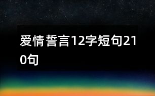 愛情誓言12字短句210句