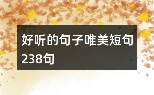 好聽的句子唯美短句238句