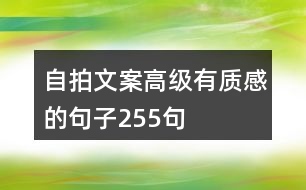 自拍文案高級(jí)有質(zhì)感的句子255句