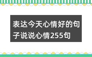 表達今天心情好的句子說說心情255句