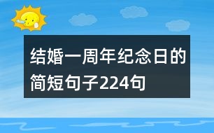 結(jié)婚一周年紀(jì)念日的簡(jiǎn)短句子224句