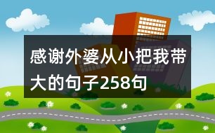 感謝外婆從小把我?guī)Т蟮木渥?58句