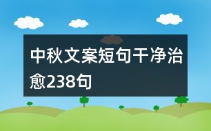 中秋文案短句干凈治愈238句