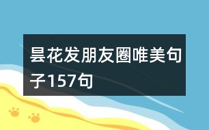 曇花發(fā)朋友圈唯美句子157句