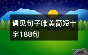 遇見句子唯美簡(jiǎn)短十字188句