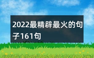 2022最精辟最火的句子161句