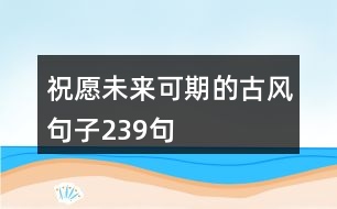 祝愿未來可期的古風句子239句