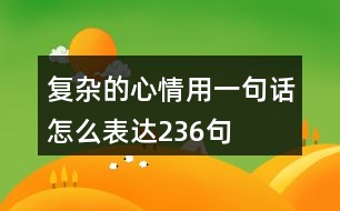 復雜的心情用一句話怎么表達236句